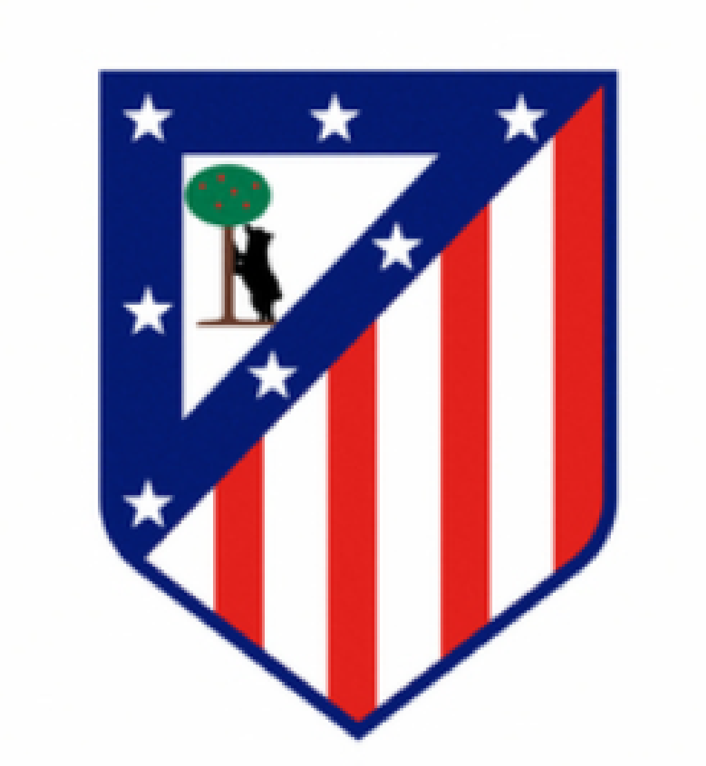 CLUB ATLÉTICO DE MADRID