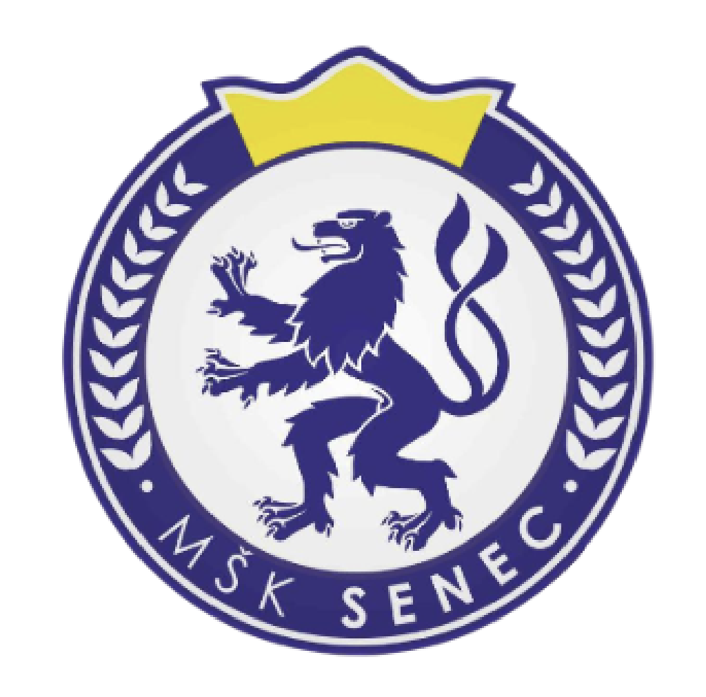 MSK SENECK